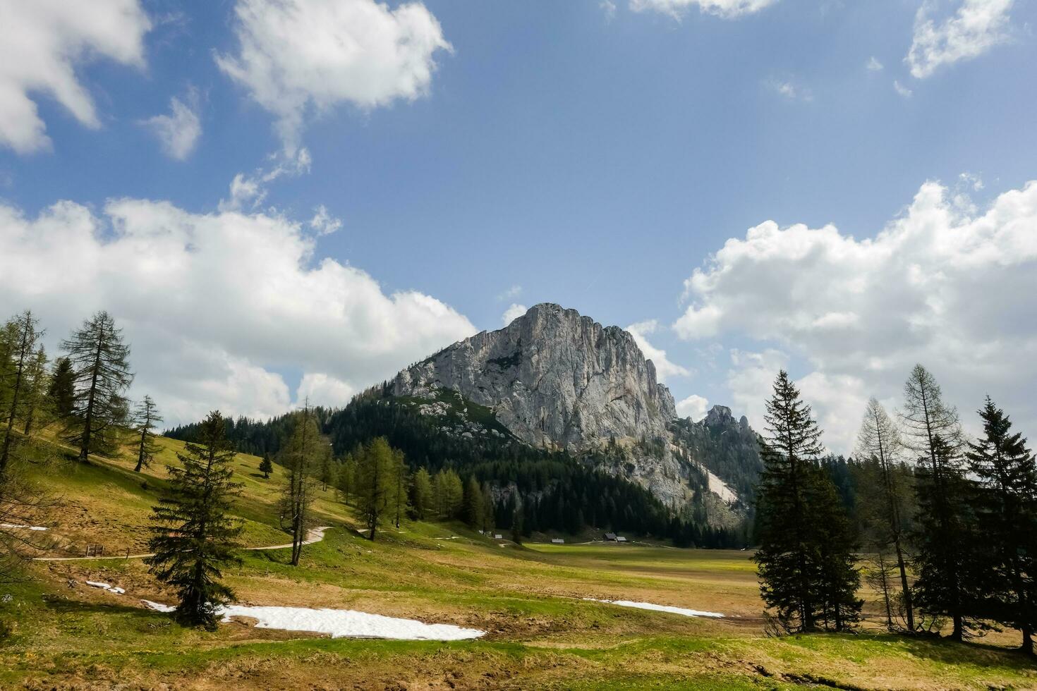 Senke mit ein hoch felsig Berg Bäume und Grün Wiese auf das wurzeralm im Österreich foto