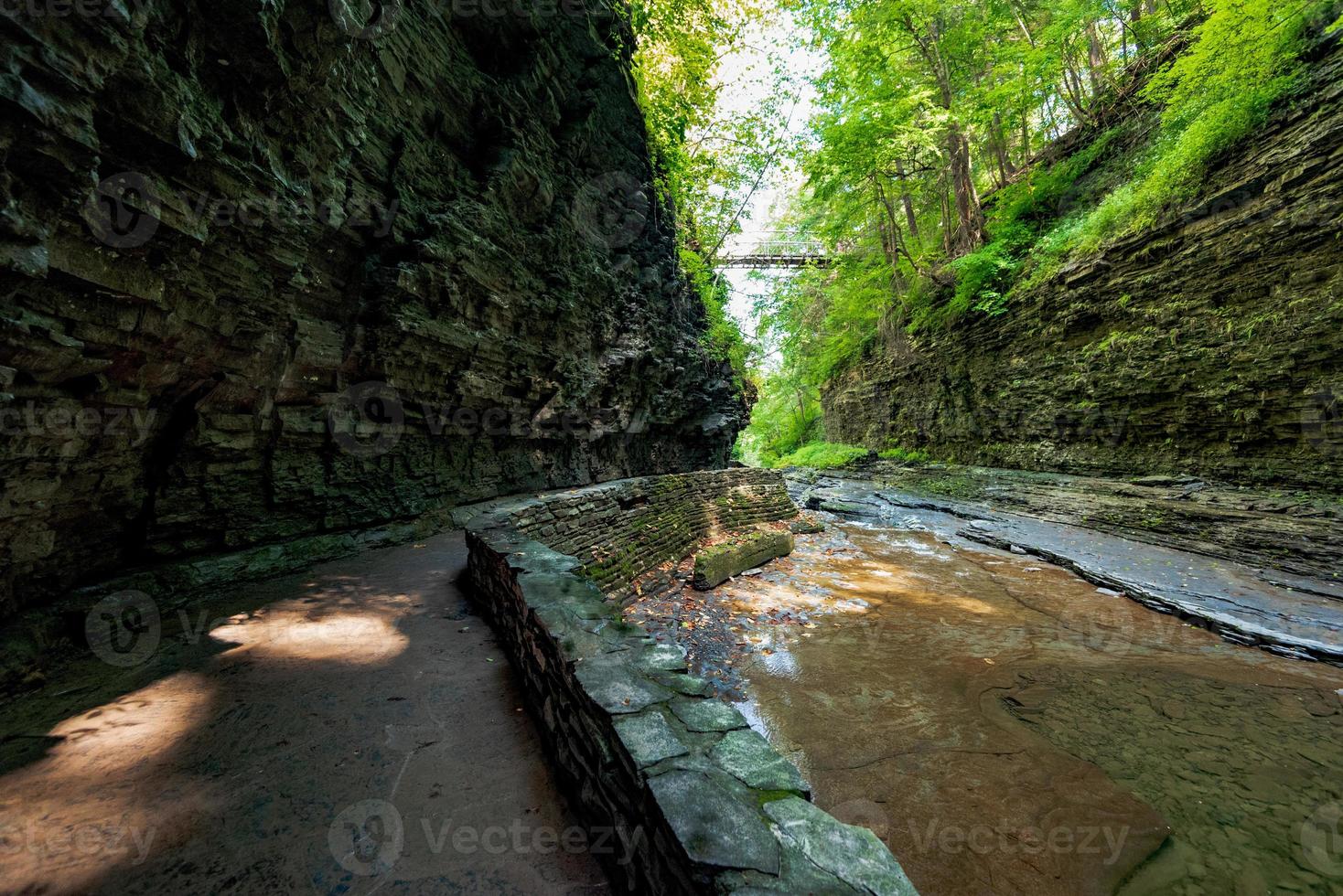 Watkins Glen State Park foto