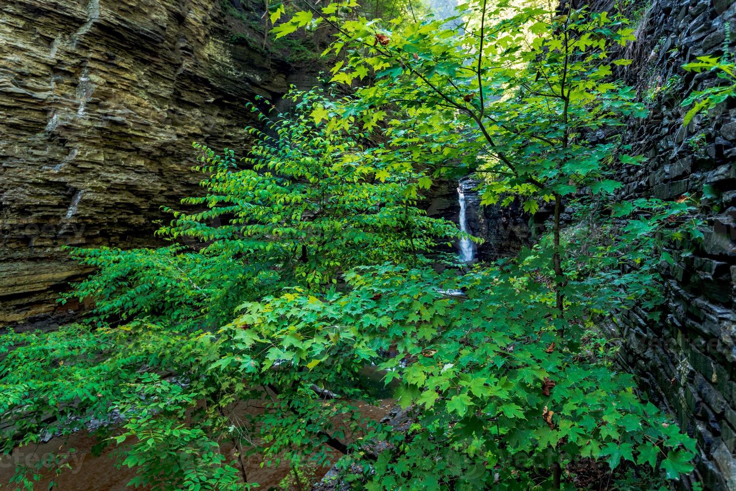 Watkins Glen State Park foto