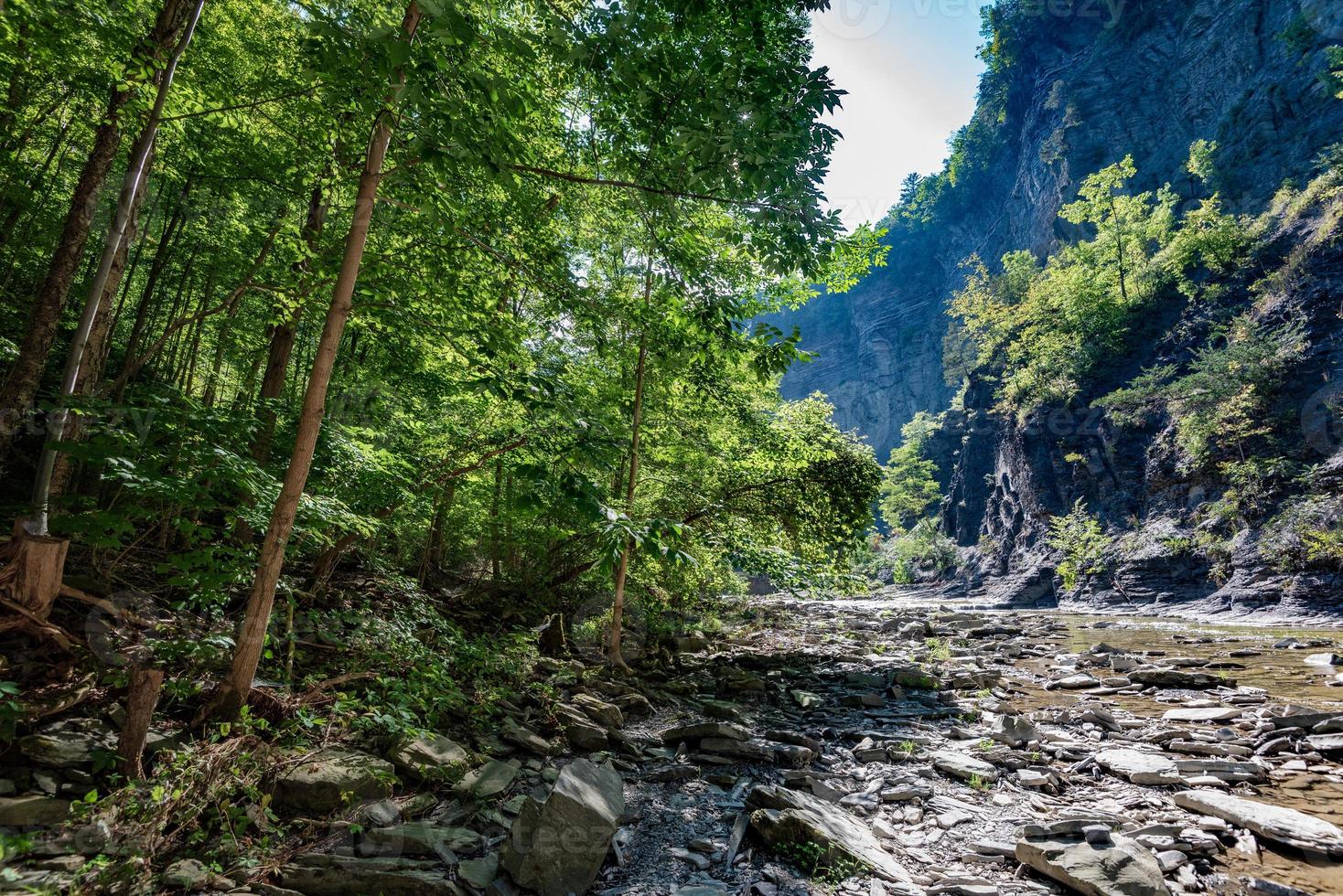 Taughannock Falls - Schluchtweg foto