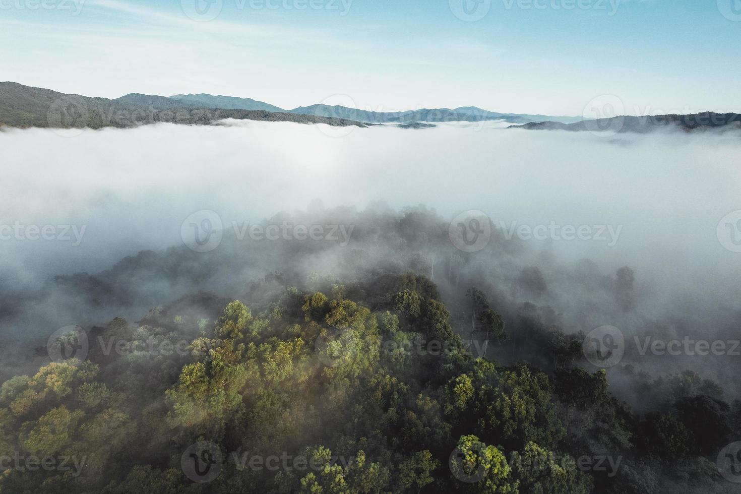 Morgennebel im Wald von oben foto