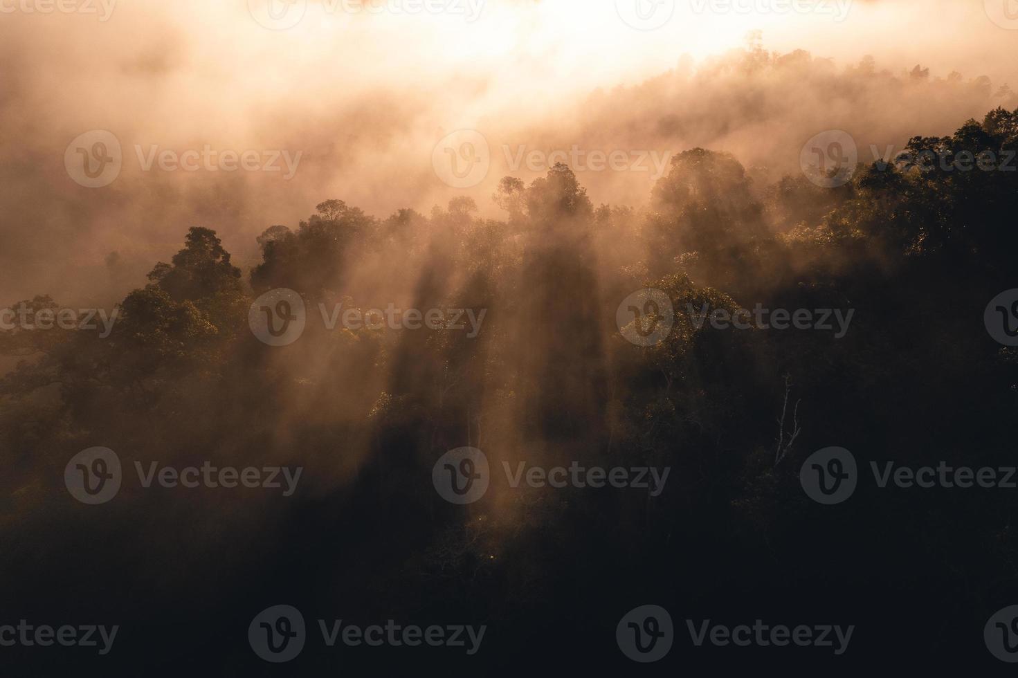 Berge und Bäume in einem ländlichen Dorf, hoher Winkel am Morgen foto