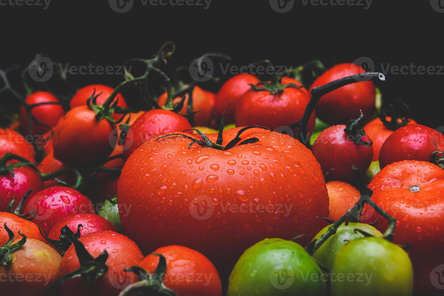 Tomaten mit schwarzem Hintergrund mischen. foto