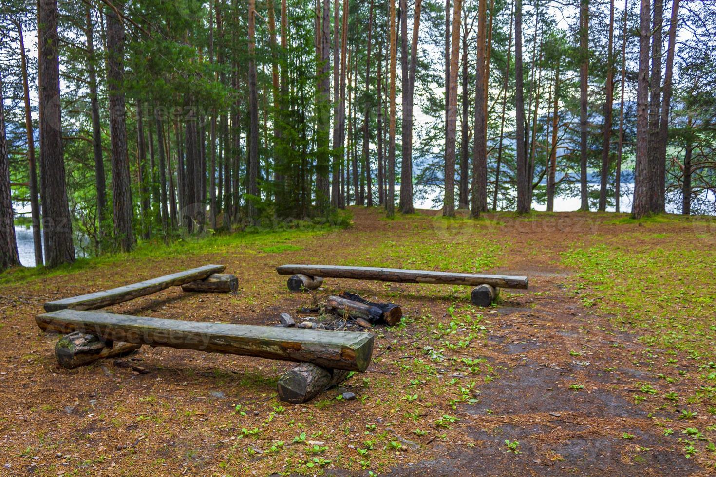 vesleoye insel natur in der stadt fagernes fylke innlandet norwegen. foto