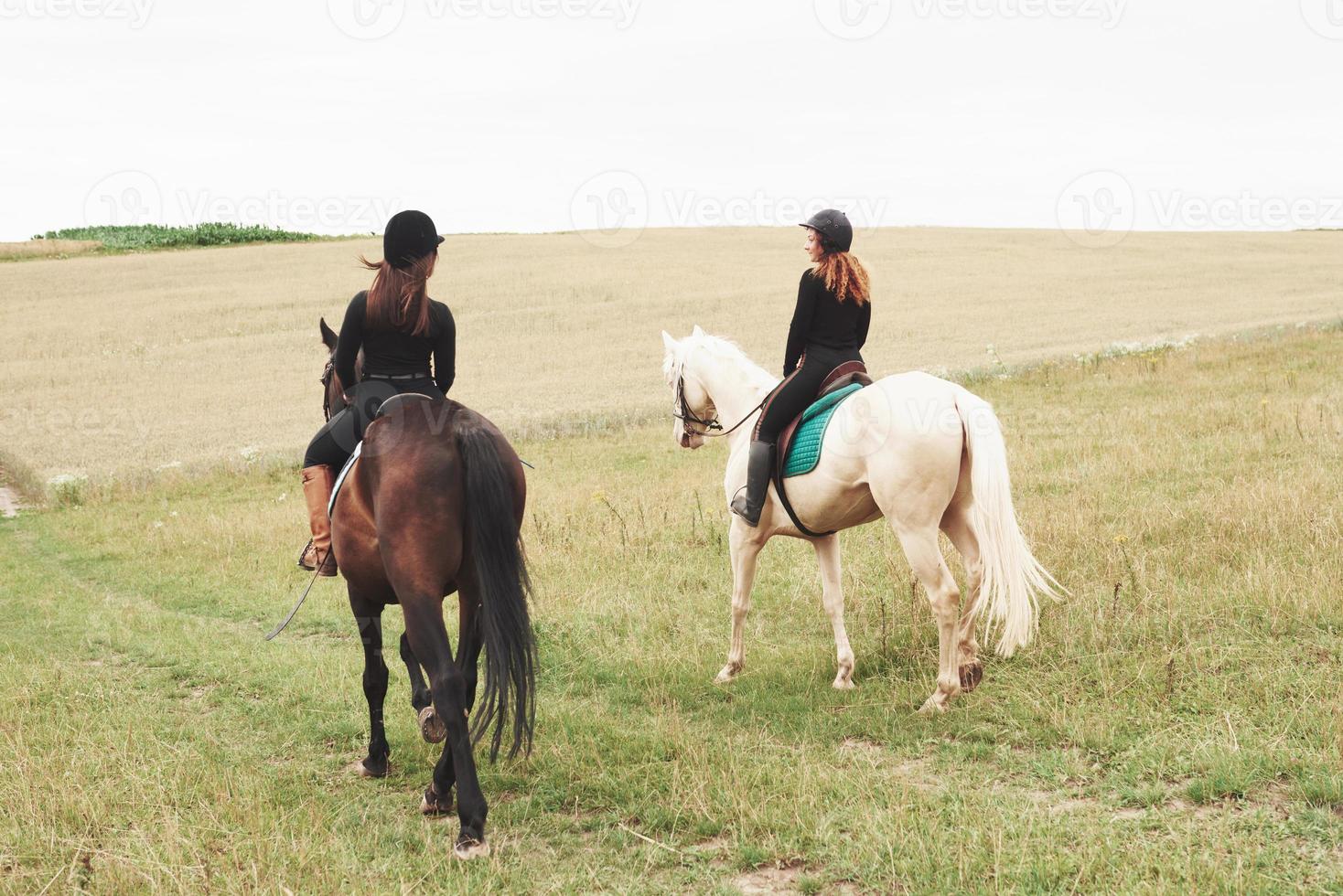 zwei junge hübsche Mädchen, die auf einem Feld ein Pferd reiten. Sie lieben Tiere und Reiten foto