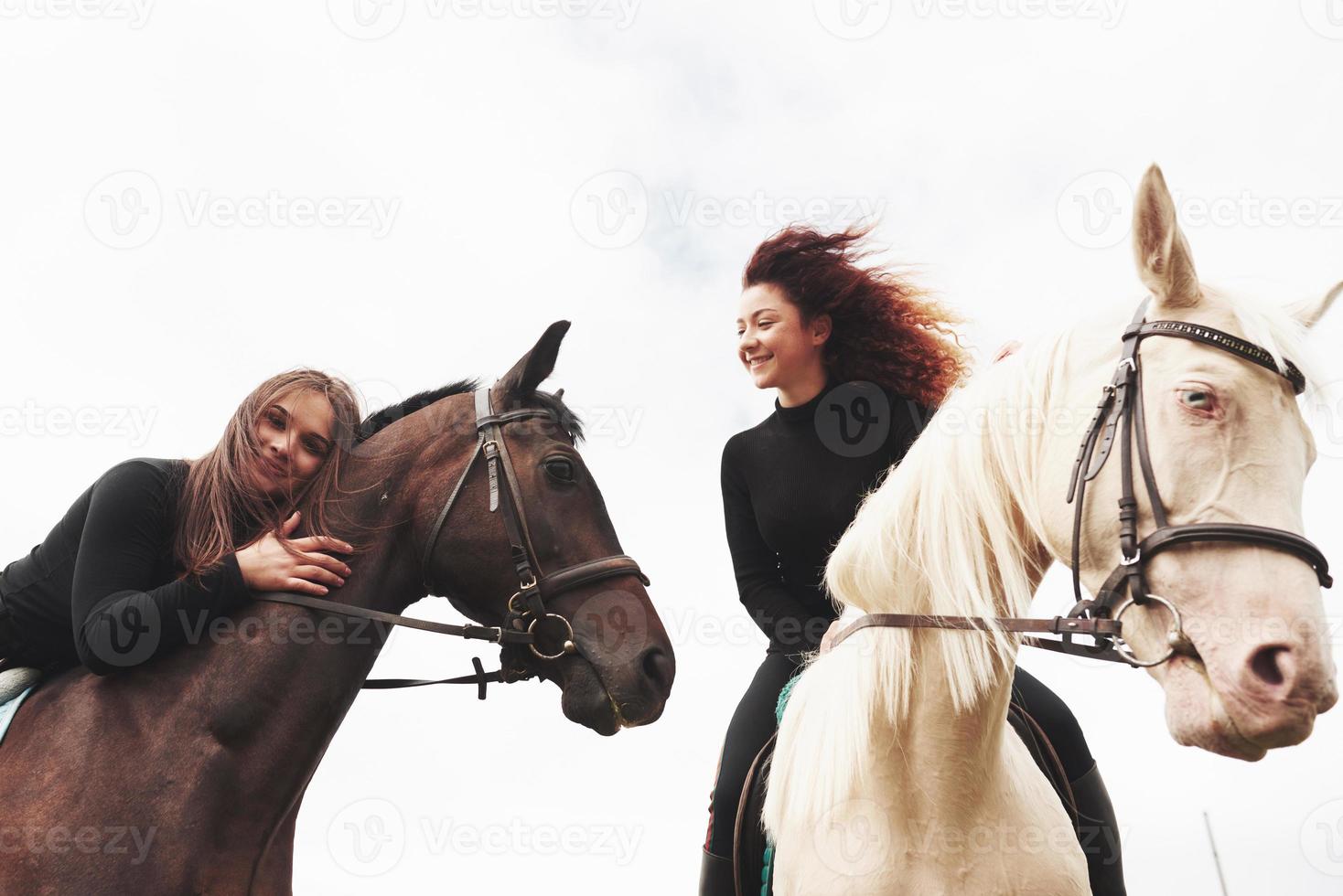 zwei junge hübsche Mädchen, die auf einem Feld ein Pferd reiten. Sie lieben Tiere und Reiten foto