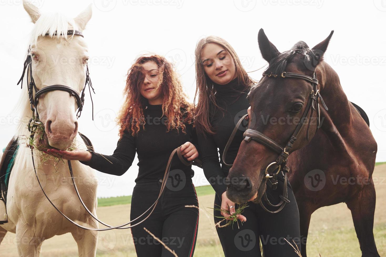 zwei junge schöne mädchen in ausrüstung zum reiten in der nähe ihrer pferde. sie lieben tiere foto