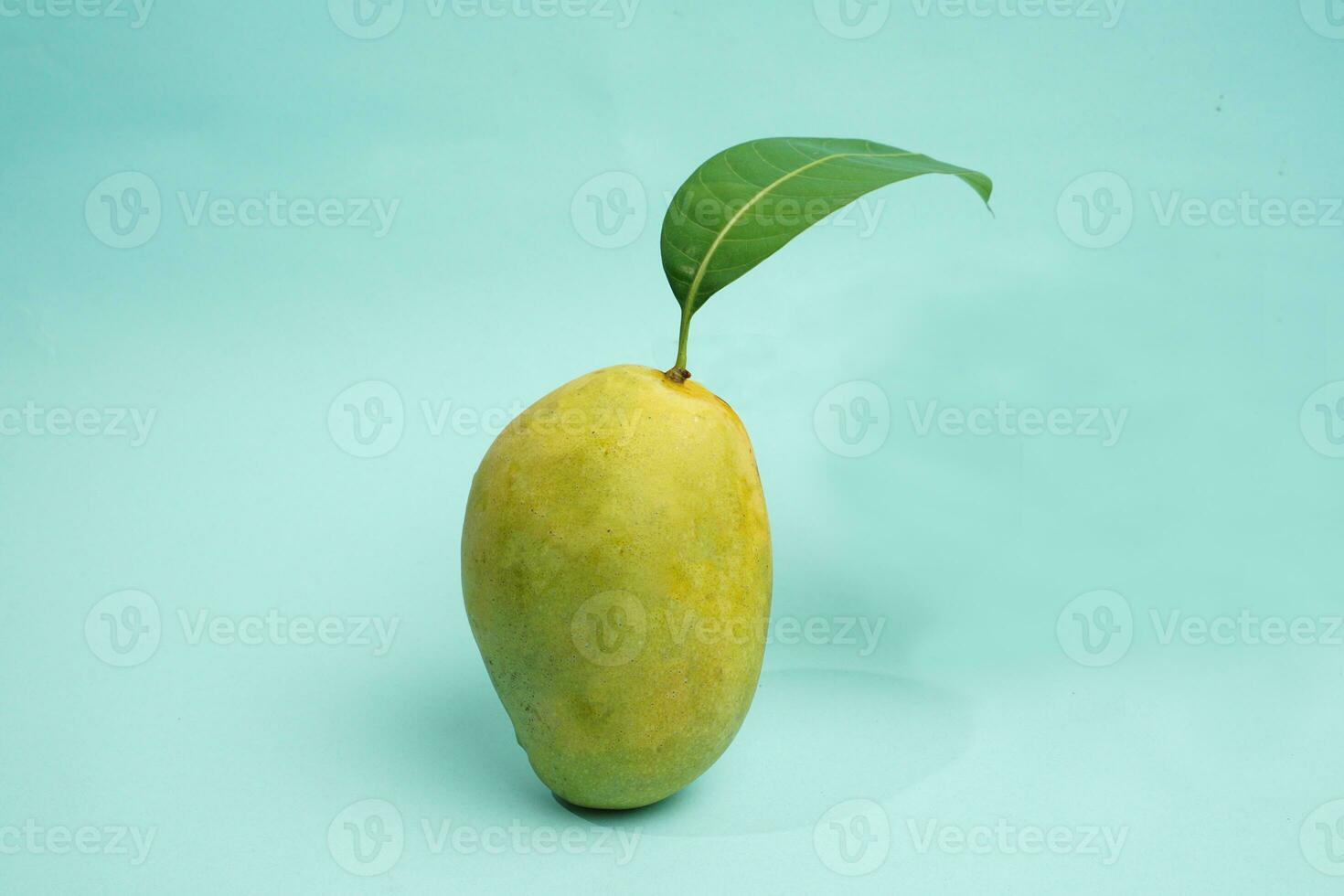 Mango tropisch Früchte mit Grün Haut auf isoliert Blau foto