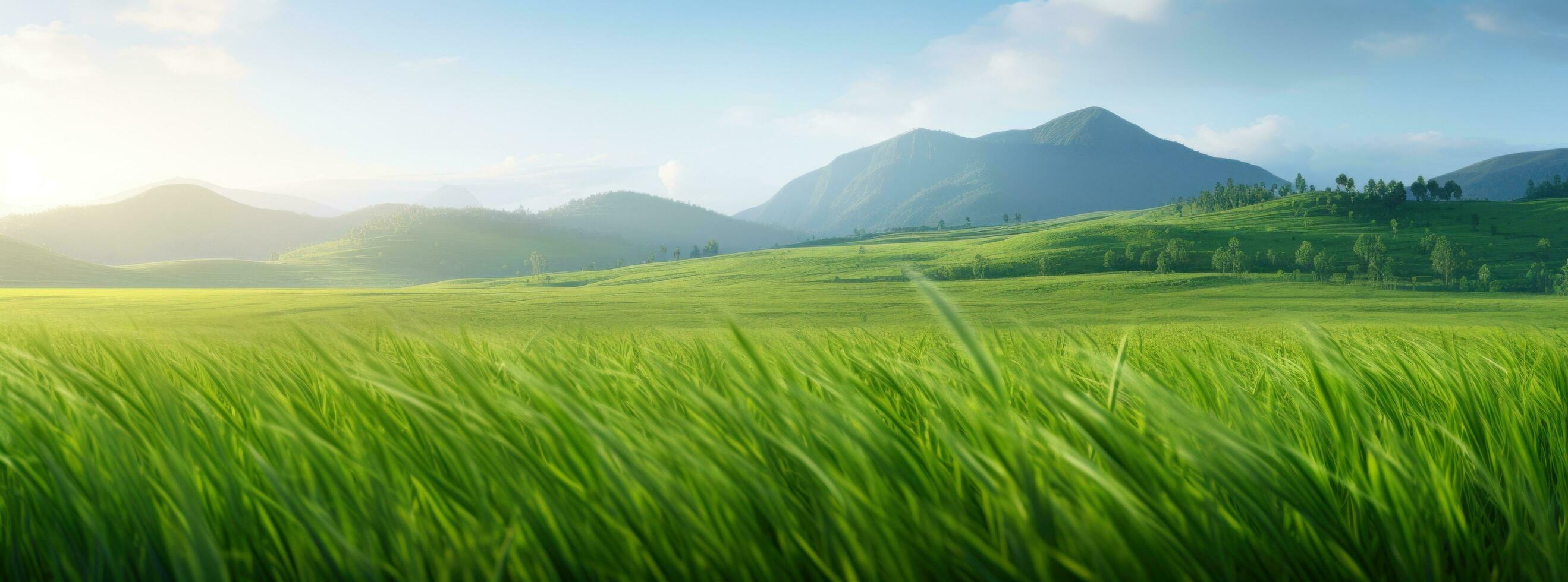 ai generiert Grün Feld von Gras im verschwommen Licht foto