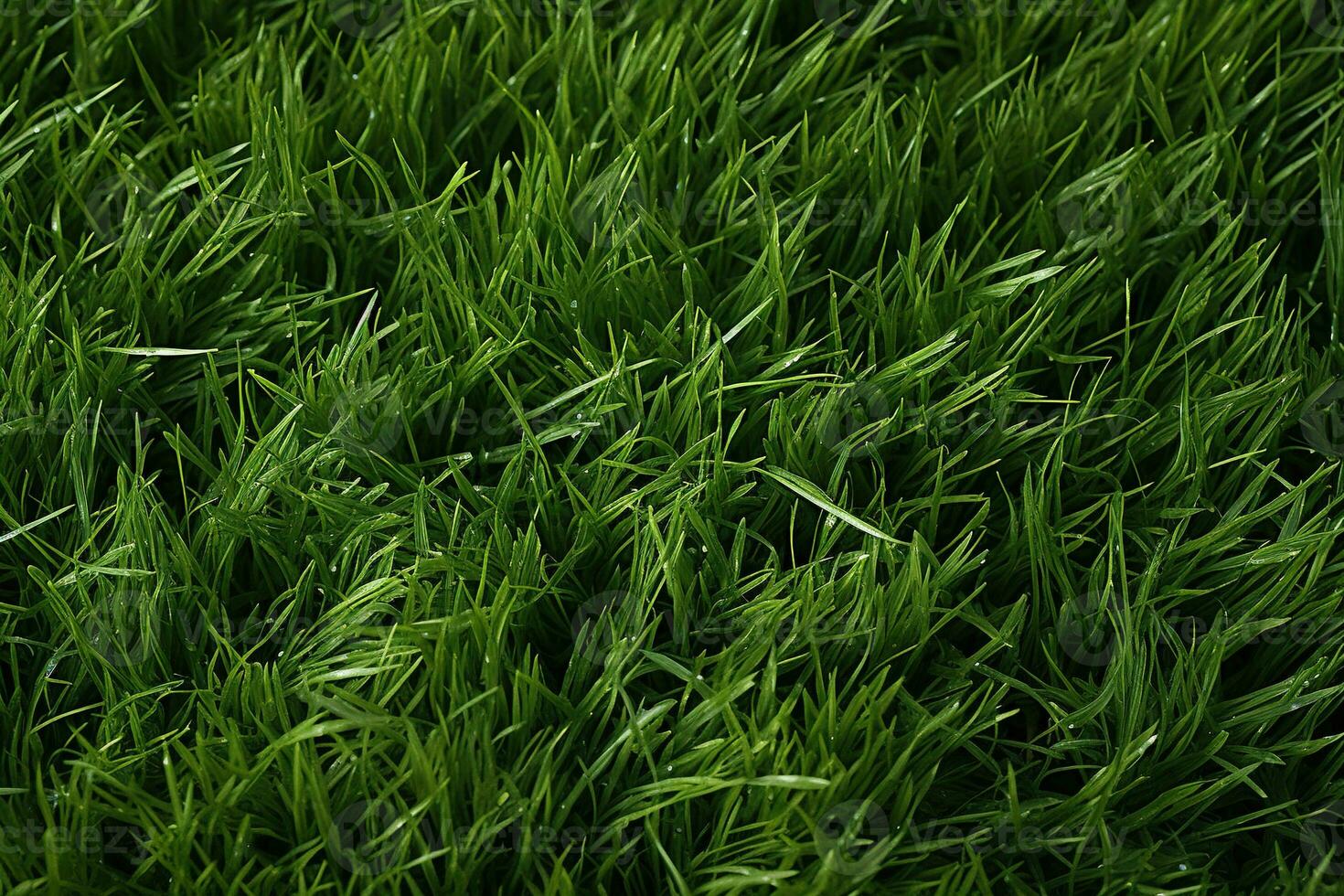 ai generiert Grün Gras Textur Hintergrund. schließen oben von frisch Frühling Gras oben Aussicht foto