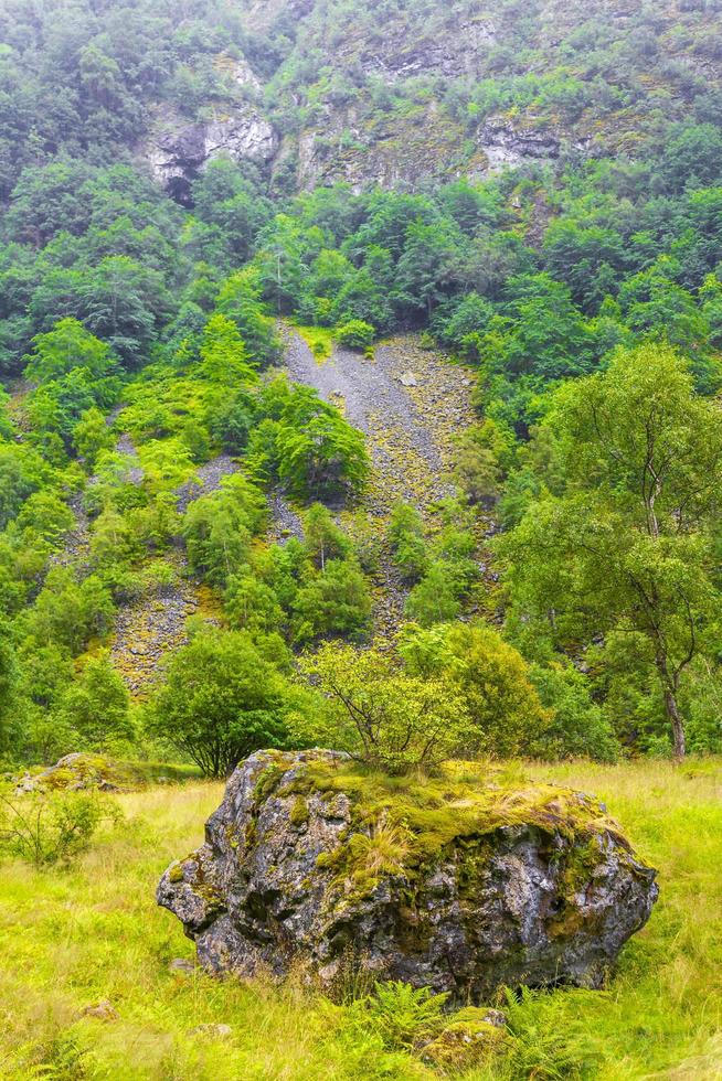 bergklippen felsen felsen in utladalen norwegen schöne norwegische landschaften. foto