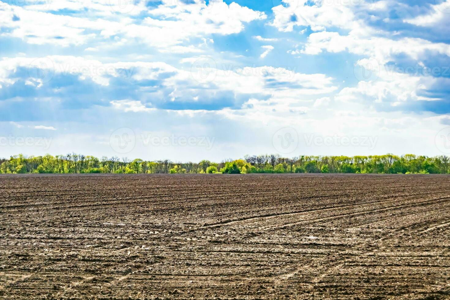 fotografie zum thema großes leeres bauernhoffeld für die organische ernte foto