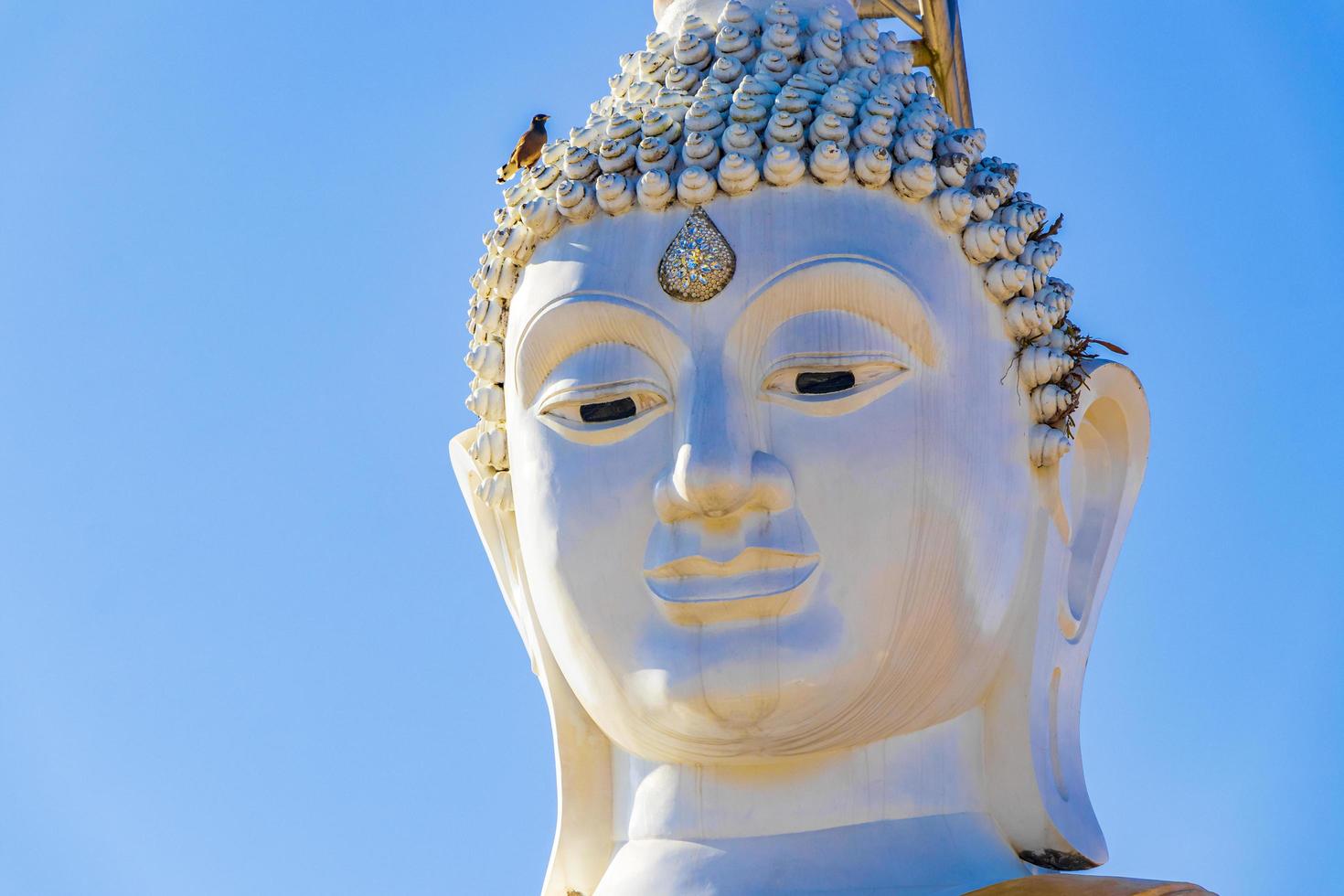 großer weißer buddha wat phadung tham phothi tempel khao lak foto