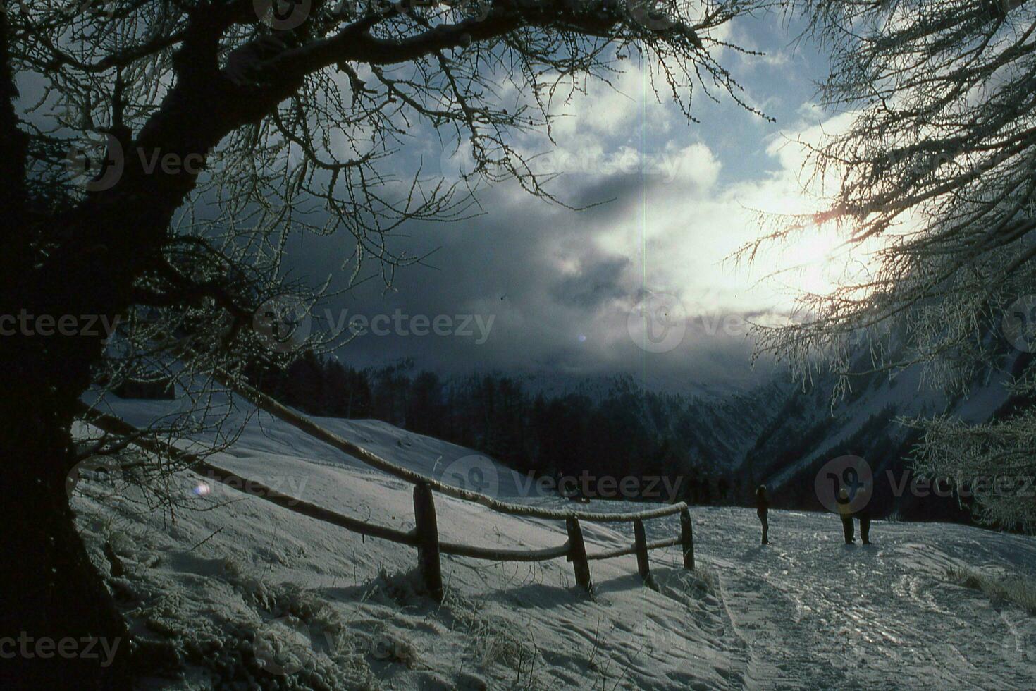 ein schneebedeckt Berg Pfad mit ein Zaun und Bäume foto