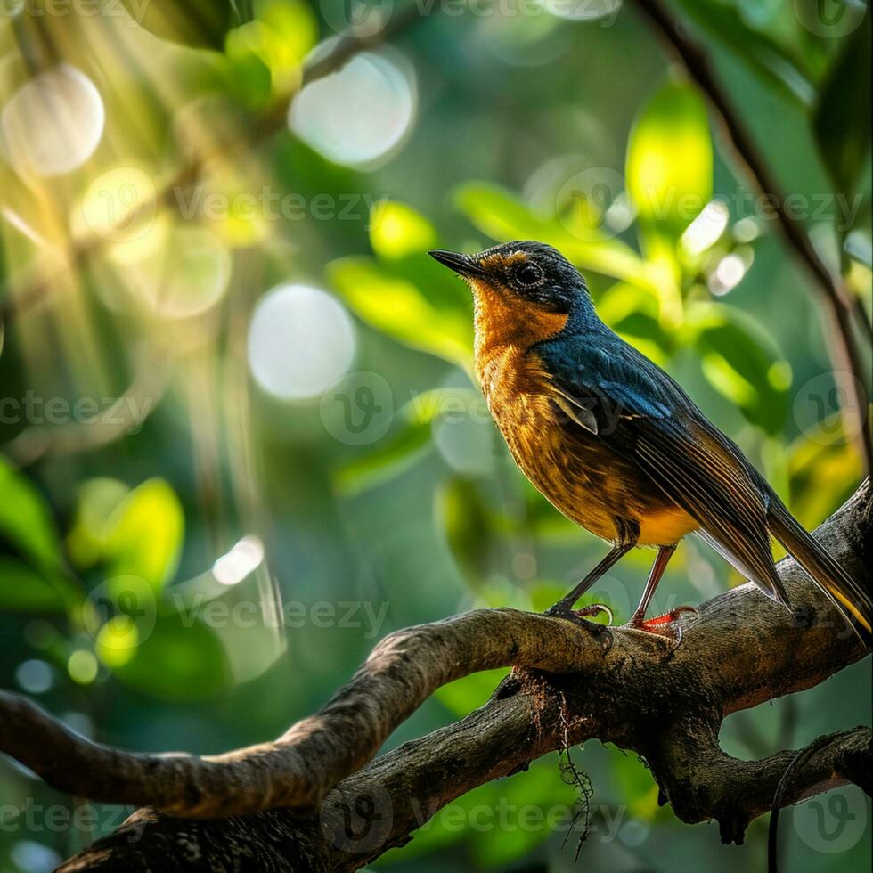 ai generiert fotografieren von ein schön bunt Vogel im das Amazonas Regenwald im Brasilien foto