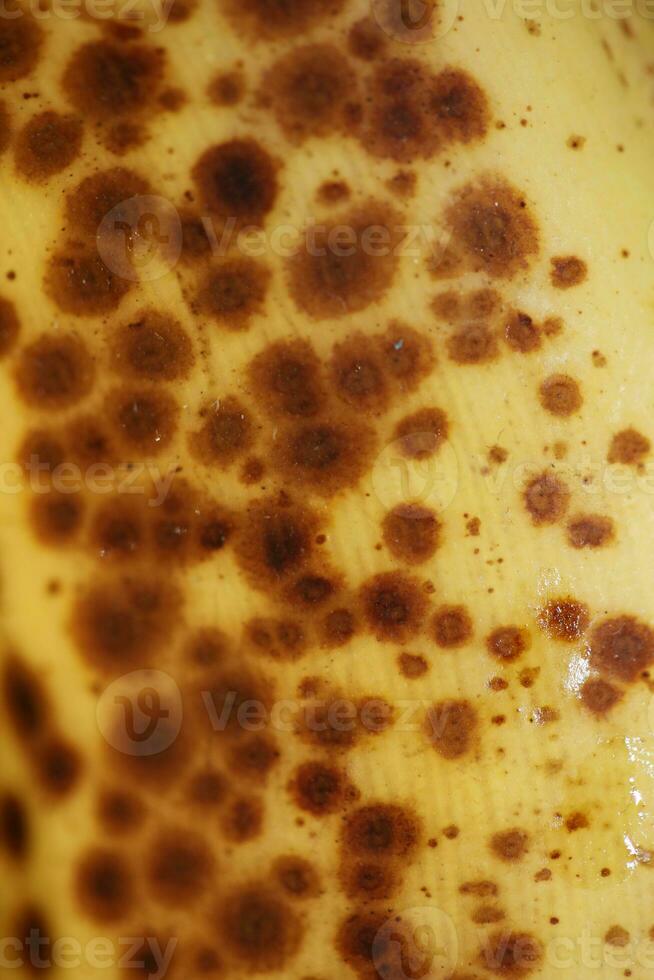 Banane mit dunkel Flecken mit Schatten isoliert schließen oben Makro botanisch Essen Porno Hintergründe selektiv Fokus groß Größe hoch Qualität sofortig Drucke foto