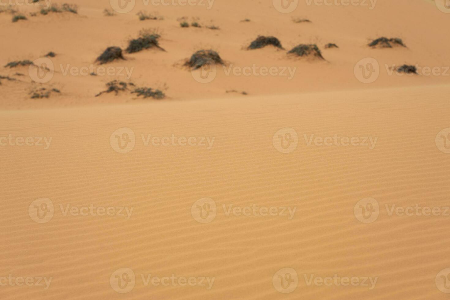 das Textur von Sand im das Wüste wie ein natürlich Hintergrund. foto