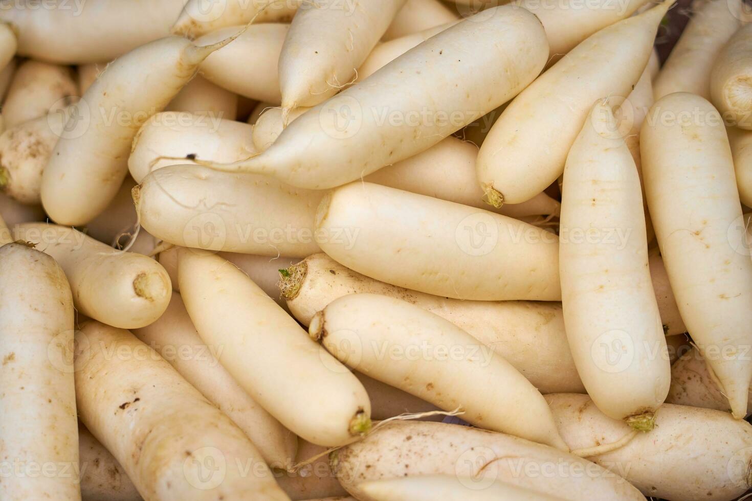 Daikon auf das Markt im Vietnam wie ein Hintergrund. foto