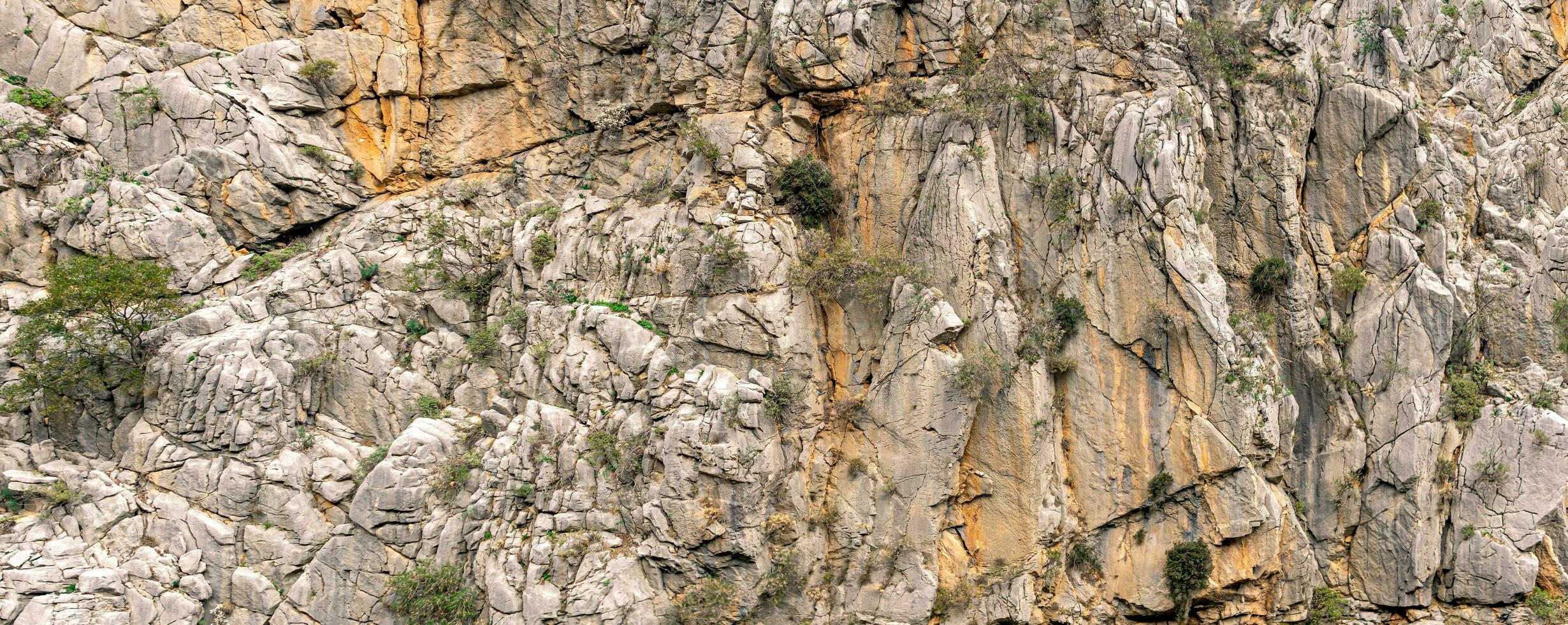 Landschaft, Textur - - schier Berg Cliff mit Risse und Vegetation foto