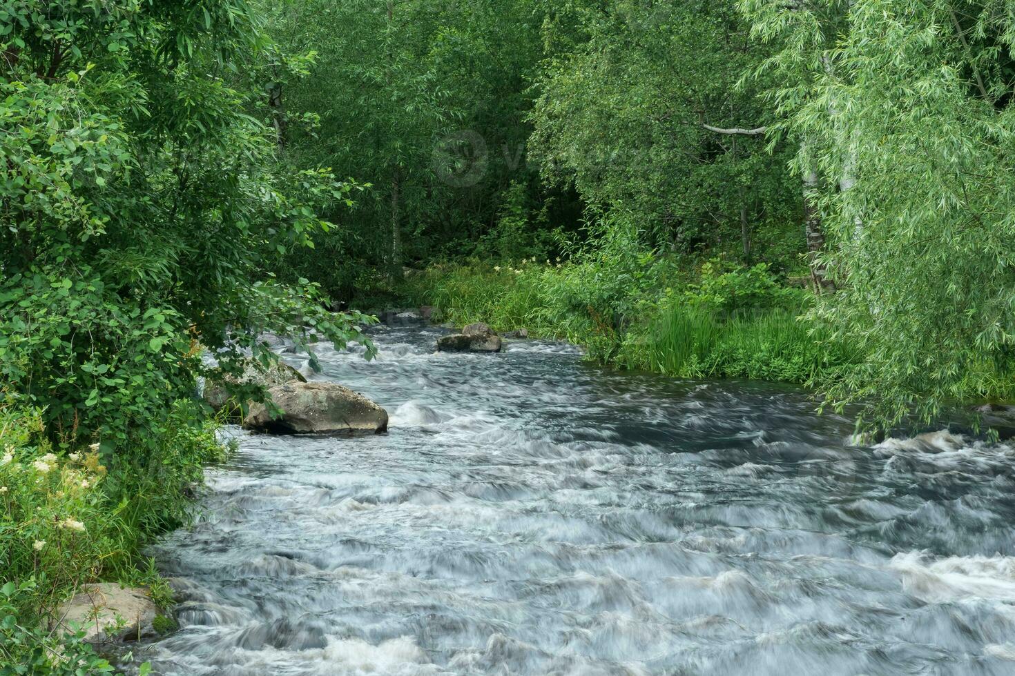 schnell Berg Fluss zwischen bewaldet Banken foto