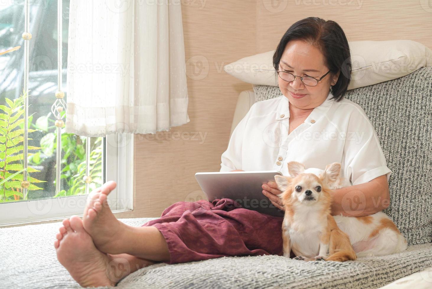 ältere asiatische frau, die auf einem sofa sitzt, benutzt ein tablet. Sie lächelte glücklich, der Chihuahua-Hund saß auf der Seite. foto