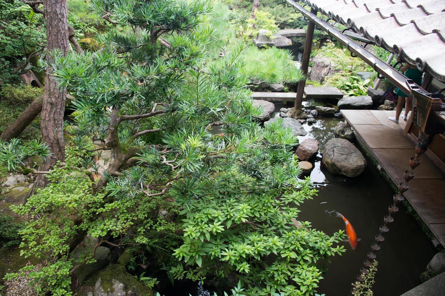 Schöner japanischer Garten mit einem Teich mit goldenen Fischen. Kanazawa, Japan foto