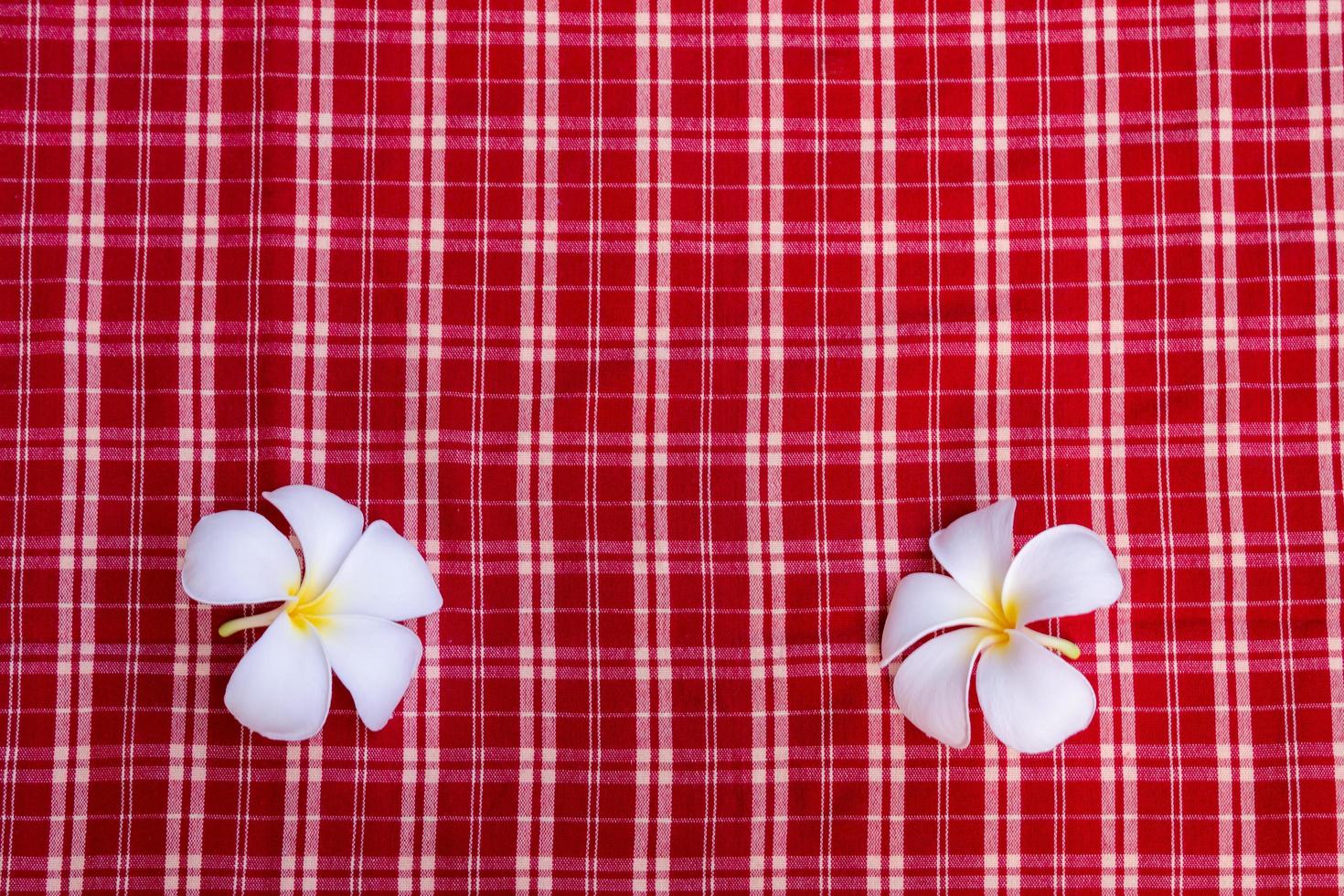 Gelbe weiße Plumeriablumen auf einem roten karierten Tuchhintergrund. Platz kopieren. foto
