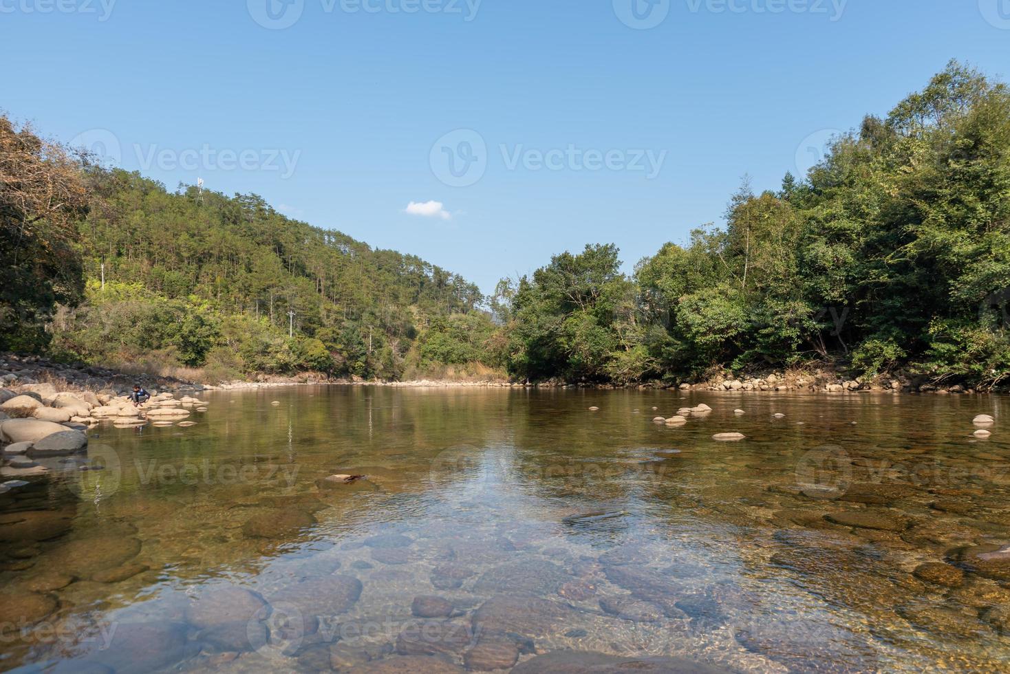 wilde Wälder und fließendes Wasser auf dem Land foto