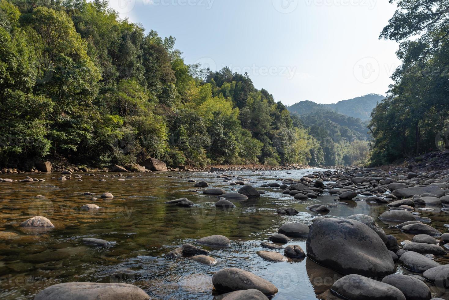 wilde Wälder und fließendes Wasser auf dem Land foto