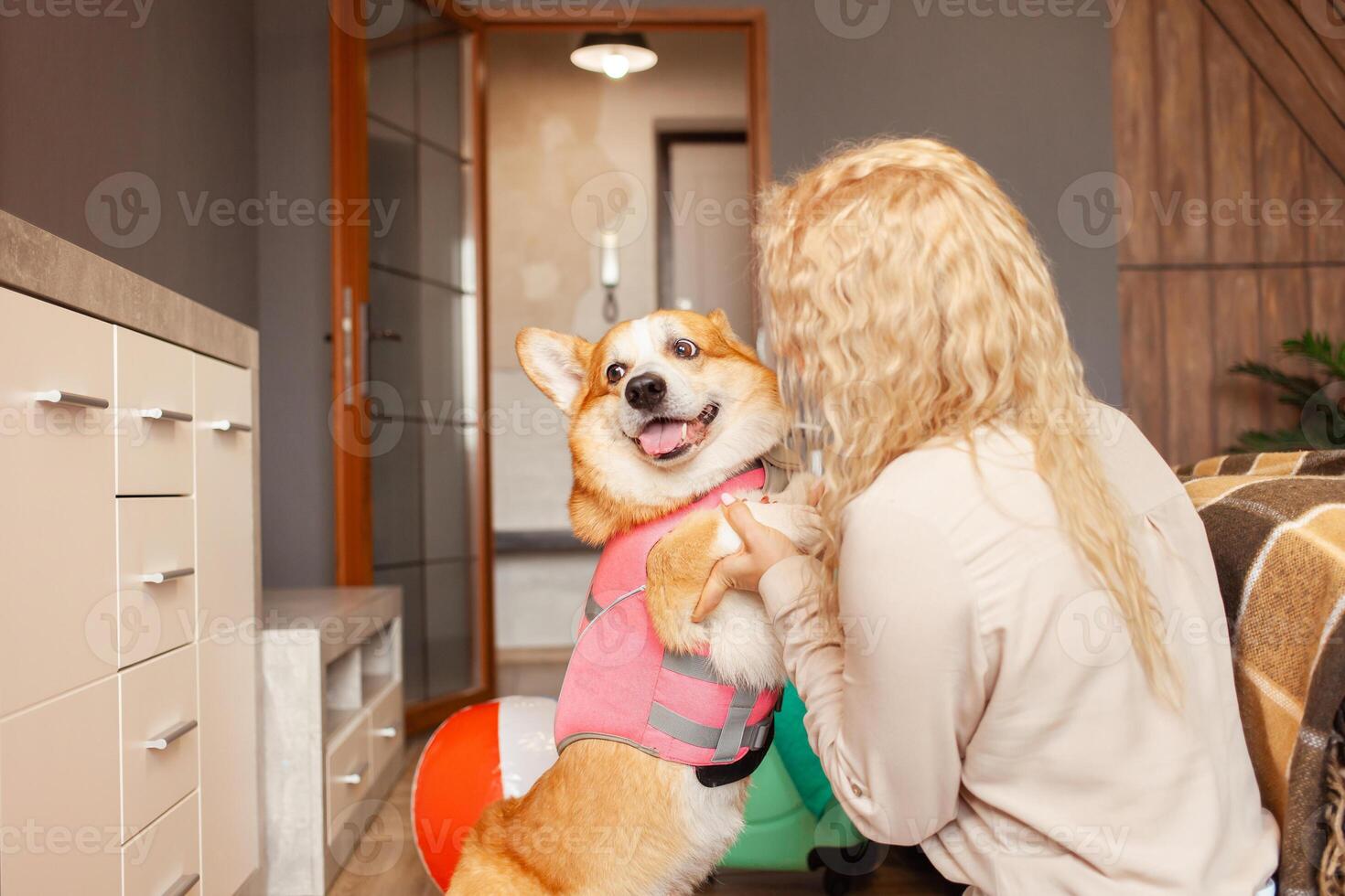 Frau liebt Corgi Hund, bereitet vor zum Reise, Sommer- Urlaub, aufblasbar Ball, Tour, ausruhen, sicher Transport von Tiere. lustig. foto