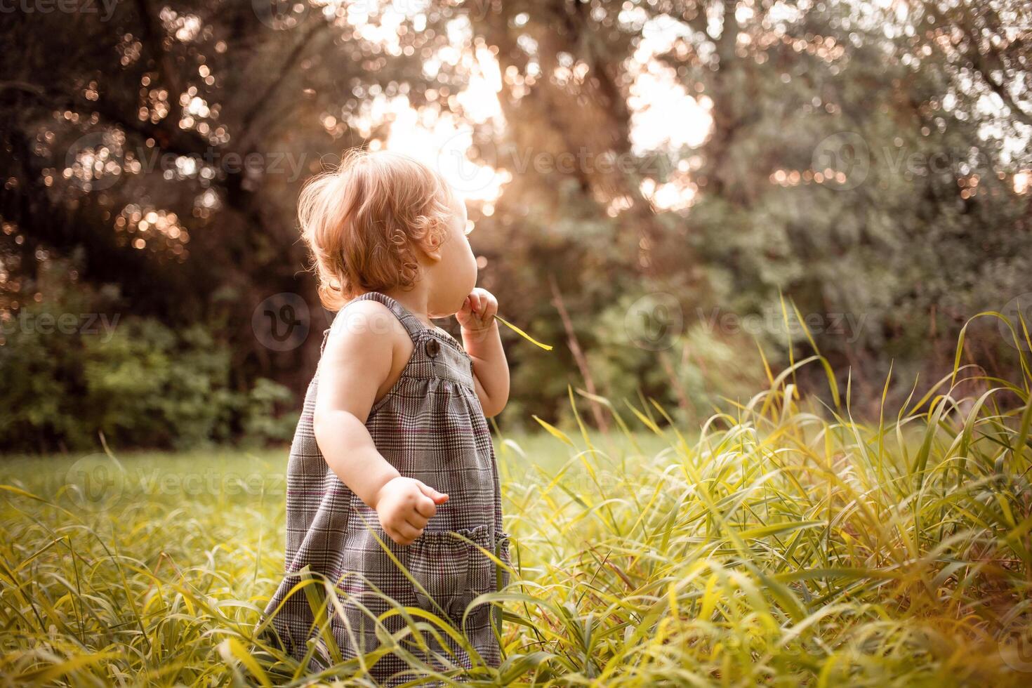 ein Kind im das Wald gegen ein Hintergrund von Bäume und Gras. ein ein Jahr alt Mädchen ist studieren Natur. sonnig Sonnenuntergang, ein Kind im ein grau Kleid foto