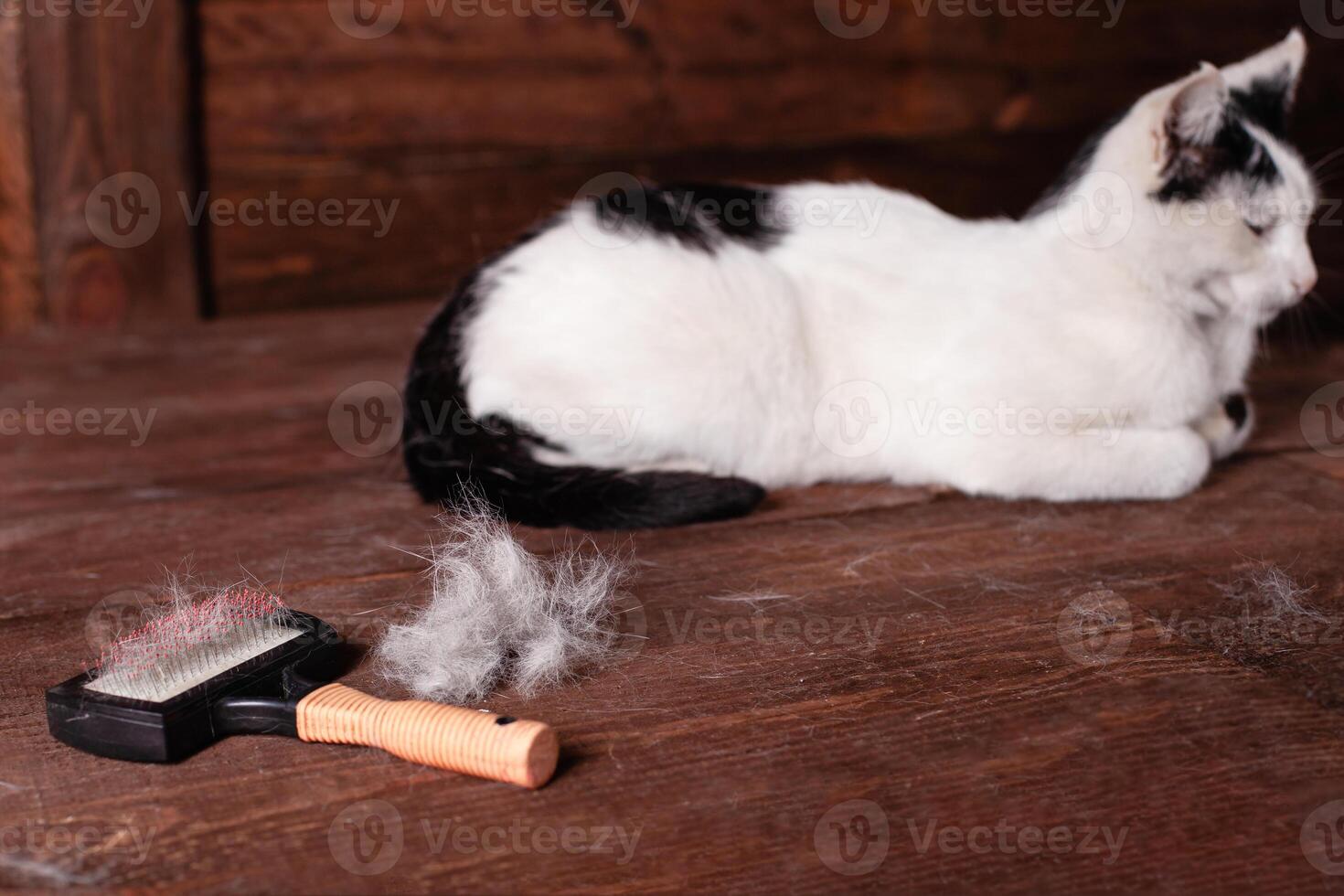 ein schwarz und Weiß Katze Lügen auf ein braun Tisch, alle bedeckt im wolle. foto