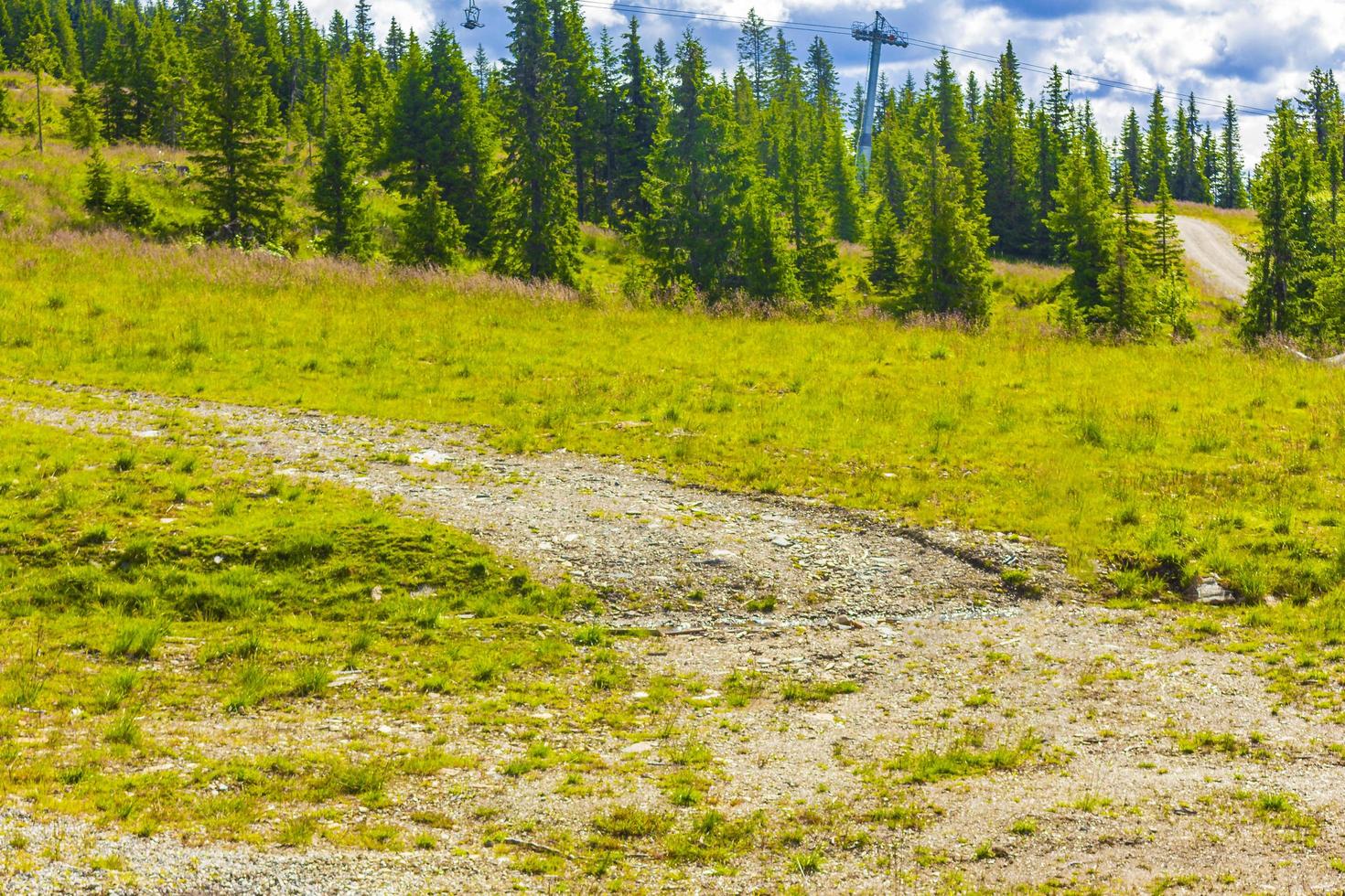 schönes panorama mit waldgebirgsnatur in kvitfjell favang norwegen. foto