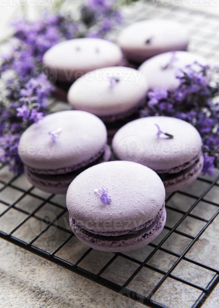 französische Macarons mit Lavendelgeschmack foto