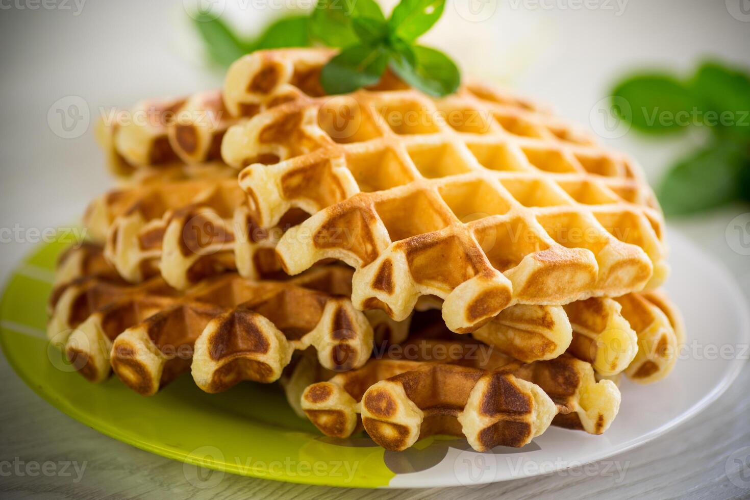 Süss Hütte Käse Wafer mit ein Zweig von Minze im ein Teller foto