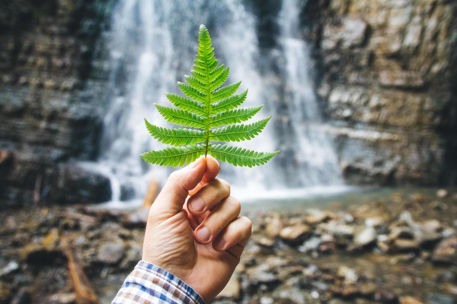 grünes Farnblatt in der Hand vor einem Hintergrund von Felsen und einem Wasserfall foto