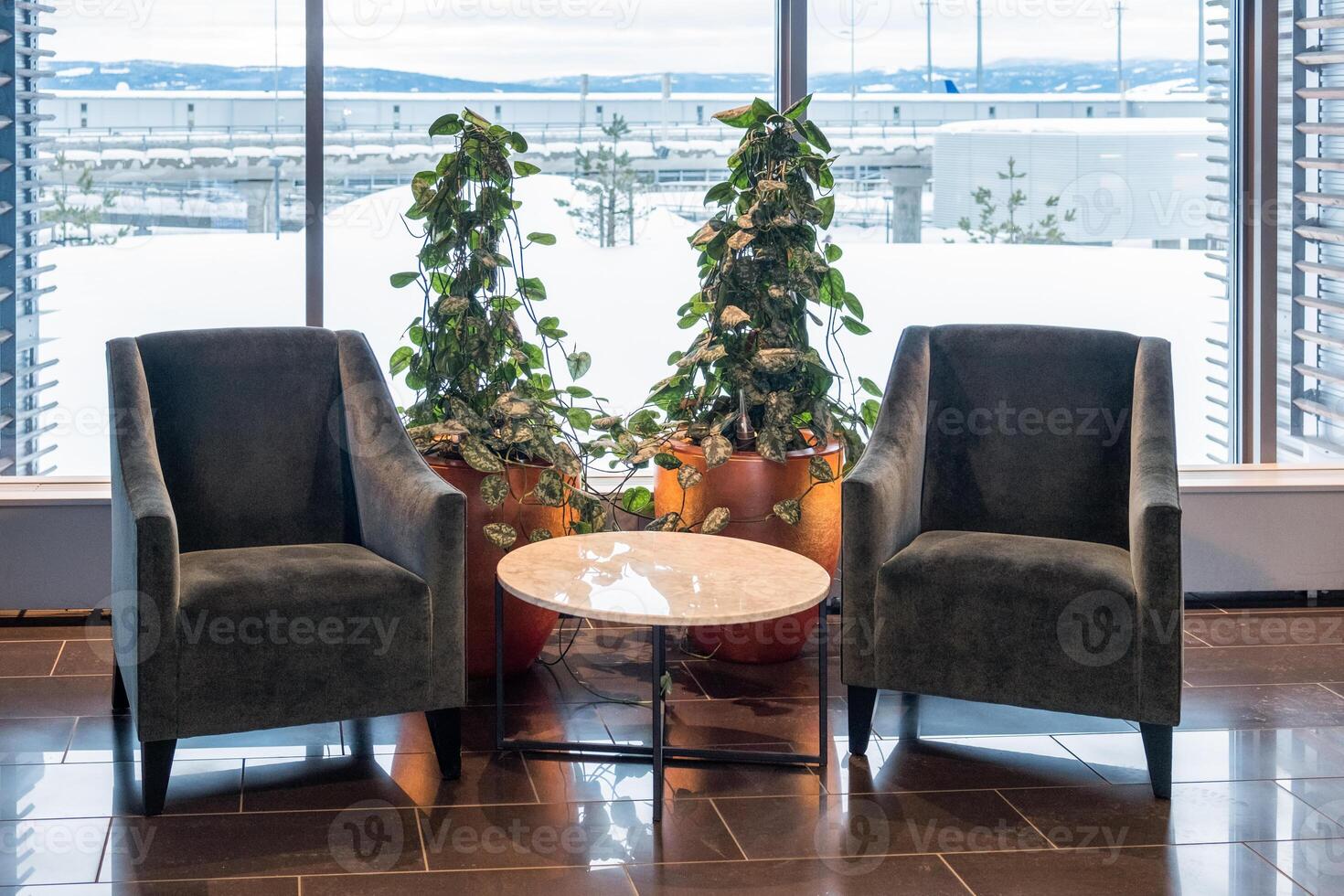 zwei Samt Stuhl mit Marmor Tabelle und Efeu Pflanze Dekoration im Leben Zimmer foto