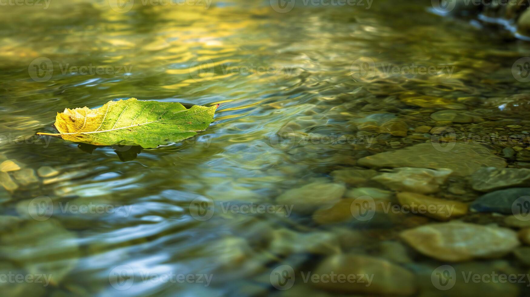 ai generiert ein Blatt schwebend im ein Strom von Wasser foto