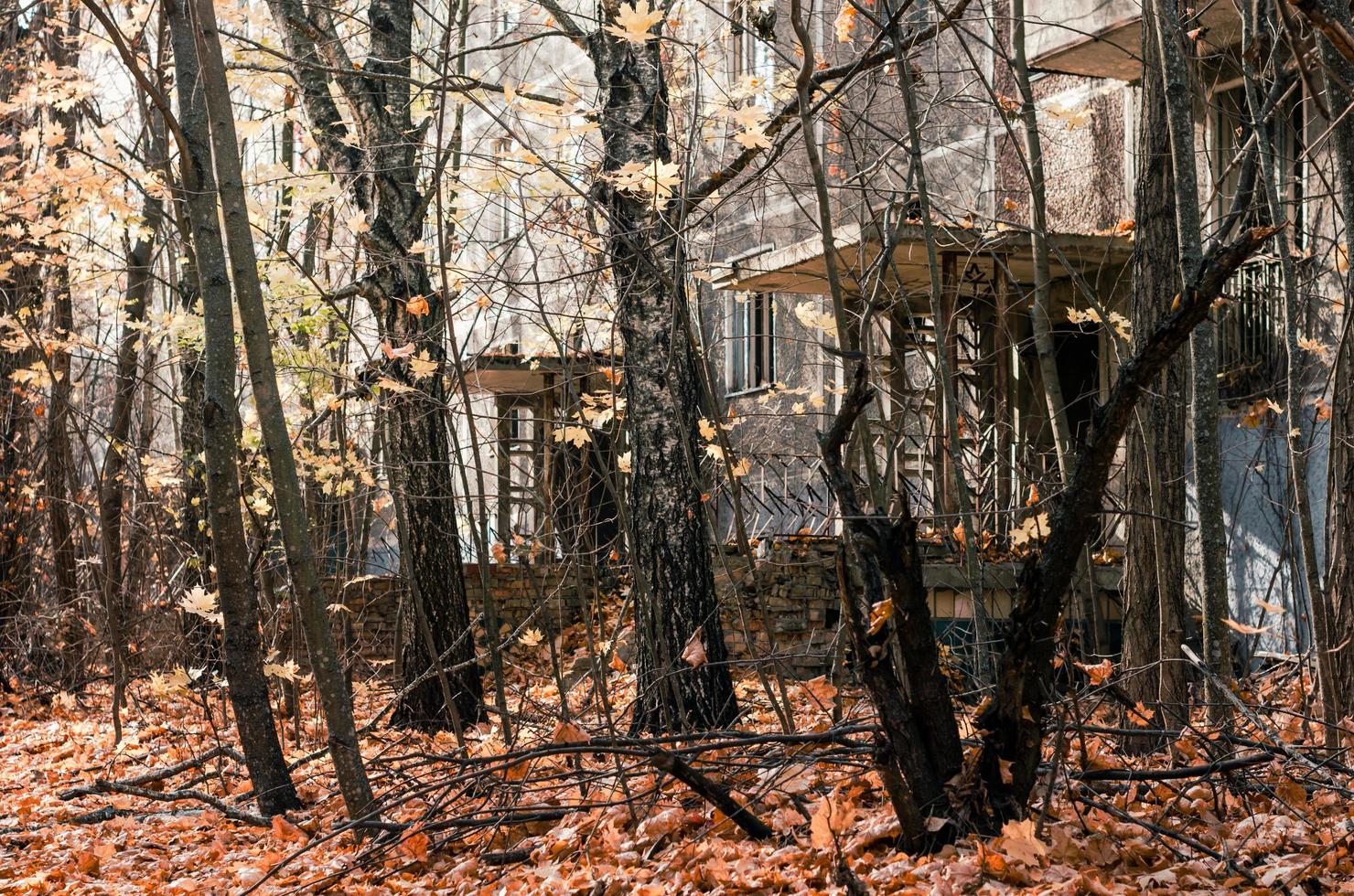 Prypjat, Ukraine, 2021 - verlassenes Haus zwischen den Bäumen in der Stadt Tschernobyl foto