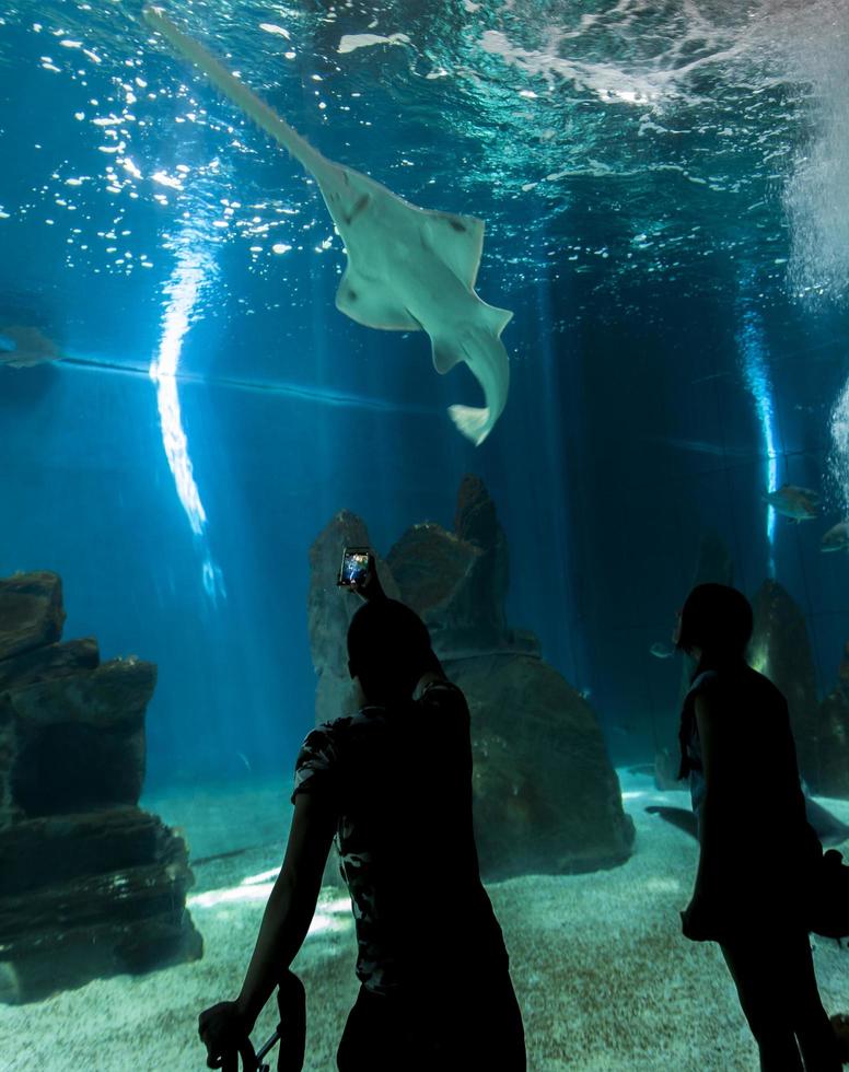 Genua, Italien, 2. Juni 2015 - unbekannte Personen im Aquarium von Genua. Das Aquarium von Genua ist das größte Aquarium Italiens und gehört zu den größten in Europa. foto