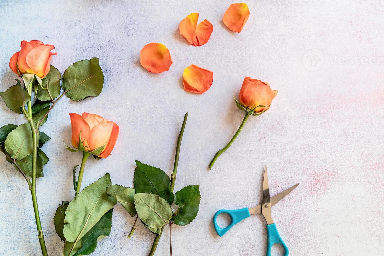 Strauß orangefarbener Rosen zum Schneiden foto