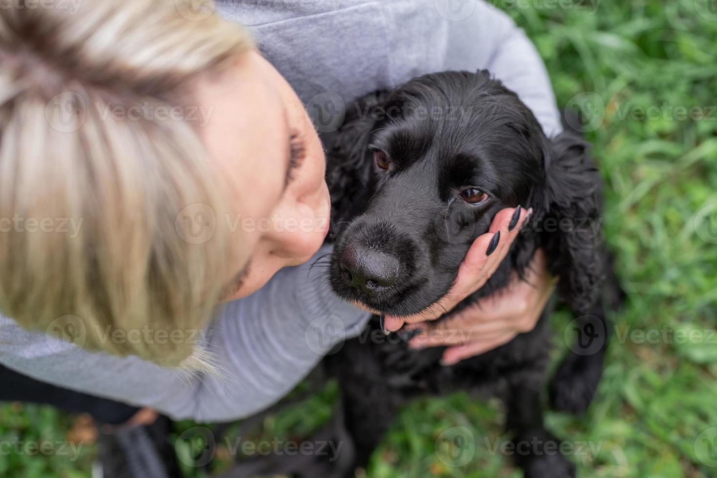 schwarzer Cockerspaniel mit seinem Besitzer im Park foto