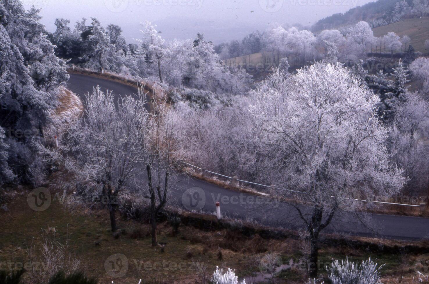 ein Straße mit Bäume und ein Wicklung Pfad foto