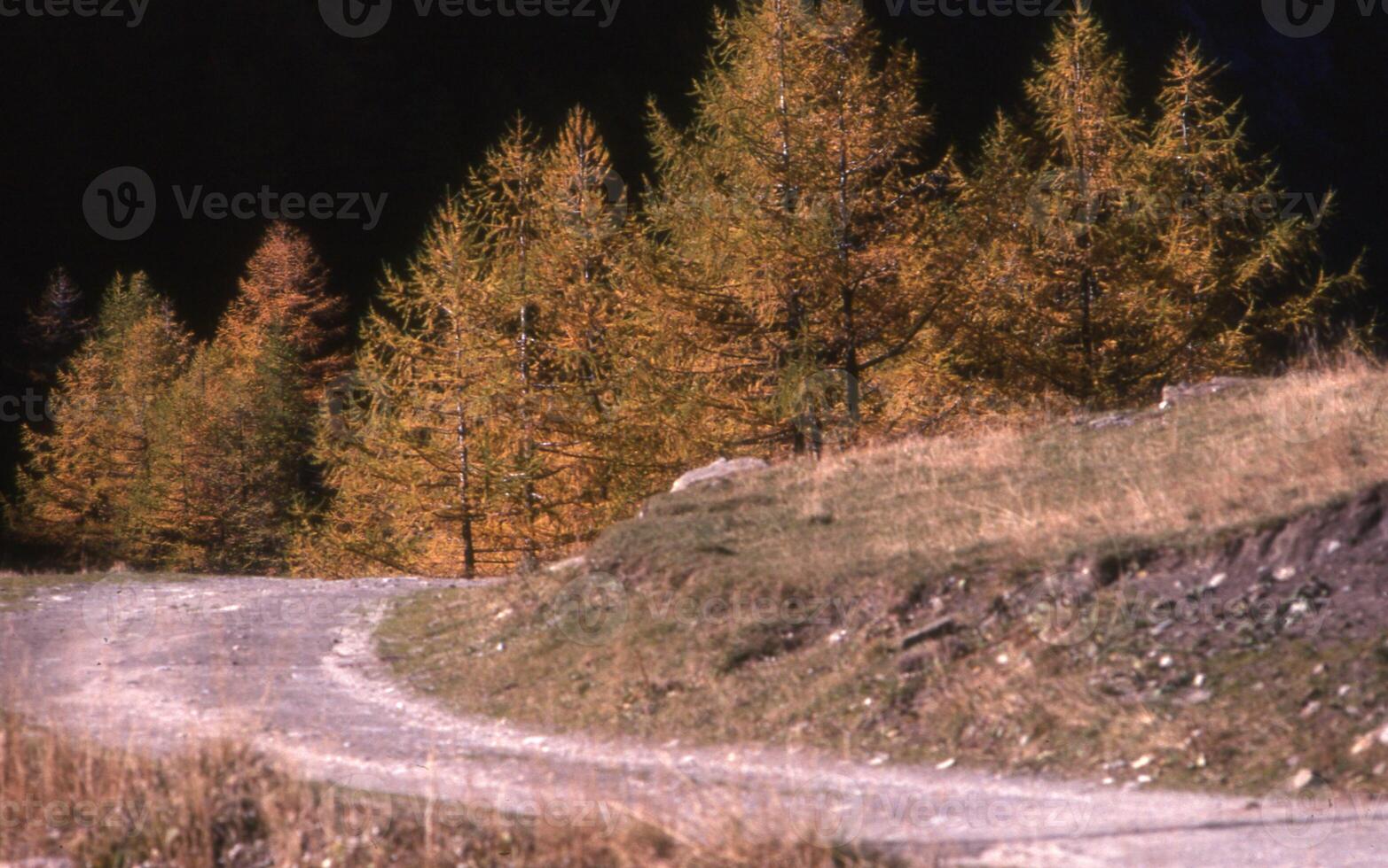 ein Mann Reiten ein Fahrrad Nieder ein Schmutz Straße foto