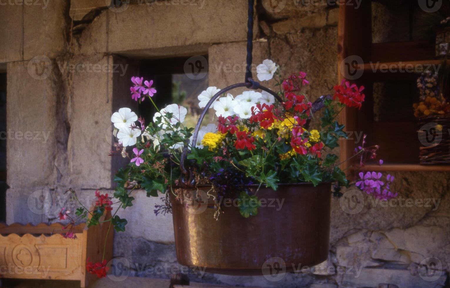 ein hängend Topf gefüllt mit Blumen foto