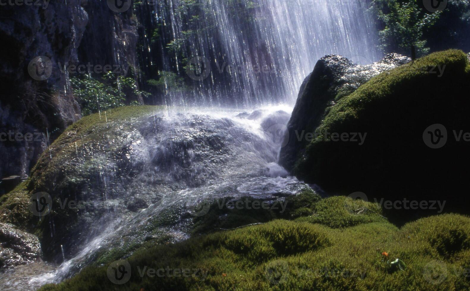 Wasserfall im Wald foto