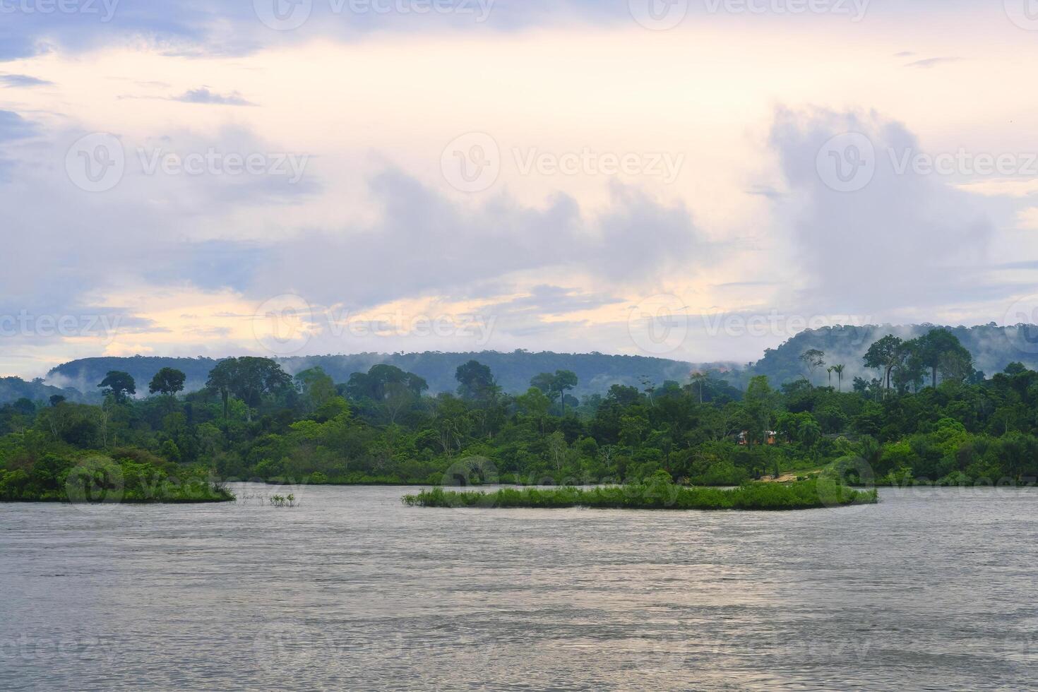 überflutet Wald entlang das Posaunen Fluss, Abs Zustand, Brasilien foto