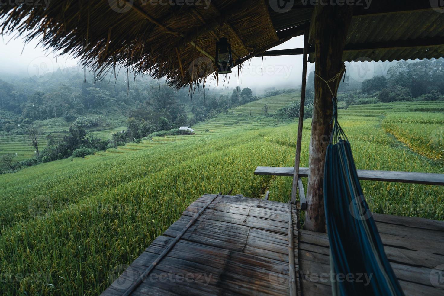 in einer Holzhütte in einem grünen Reisfeld foto