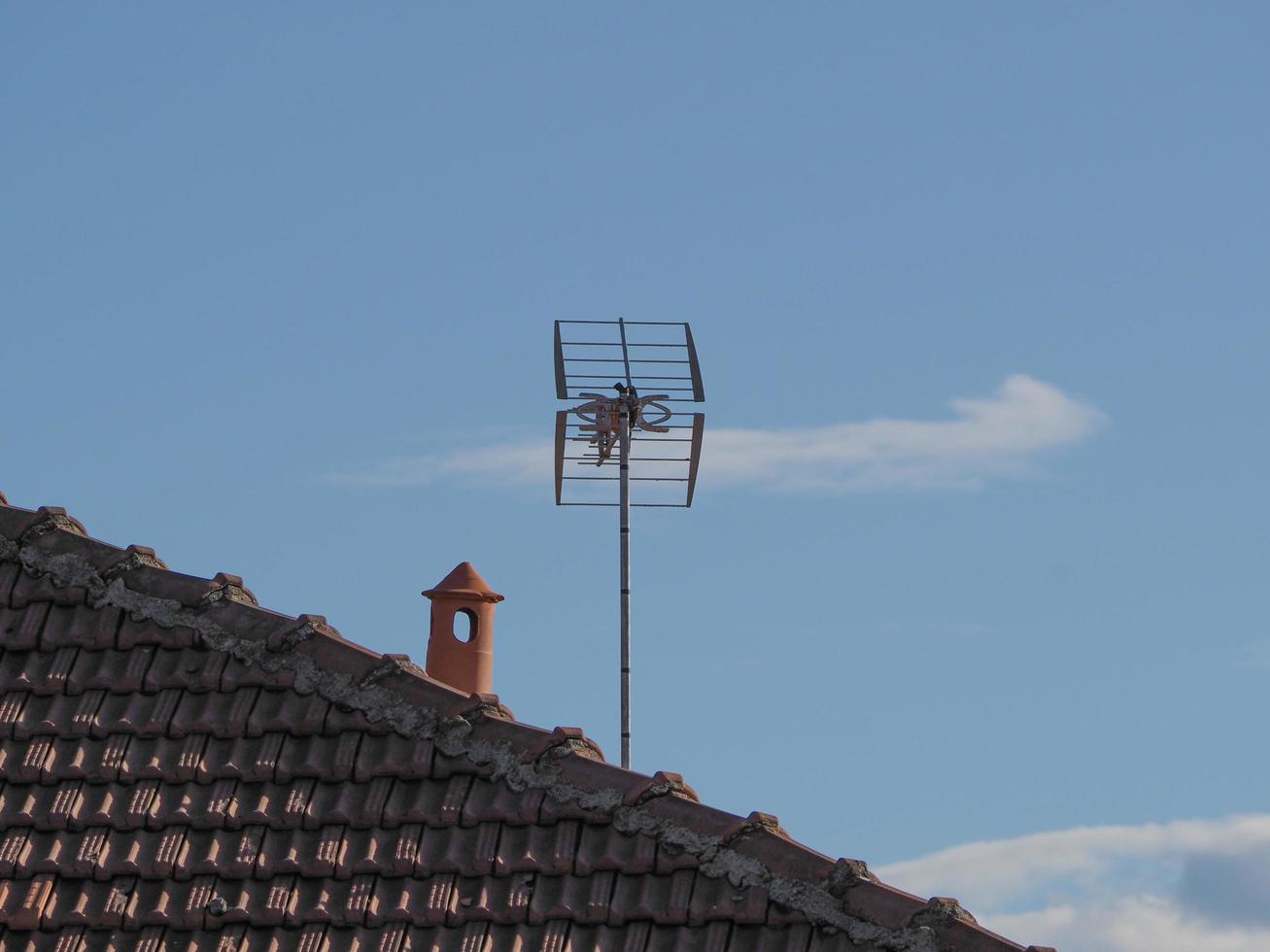 TV-Antennenantenne foto