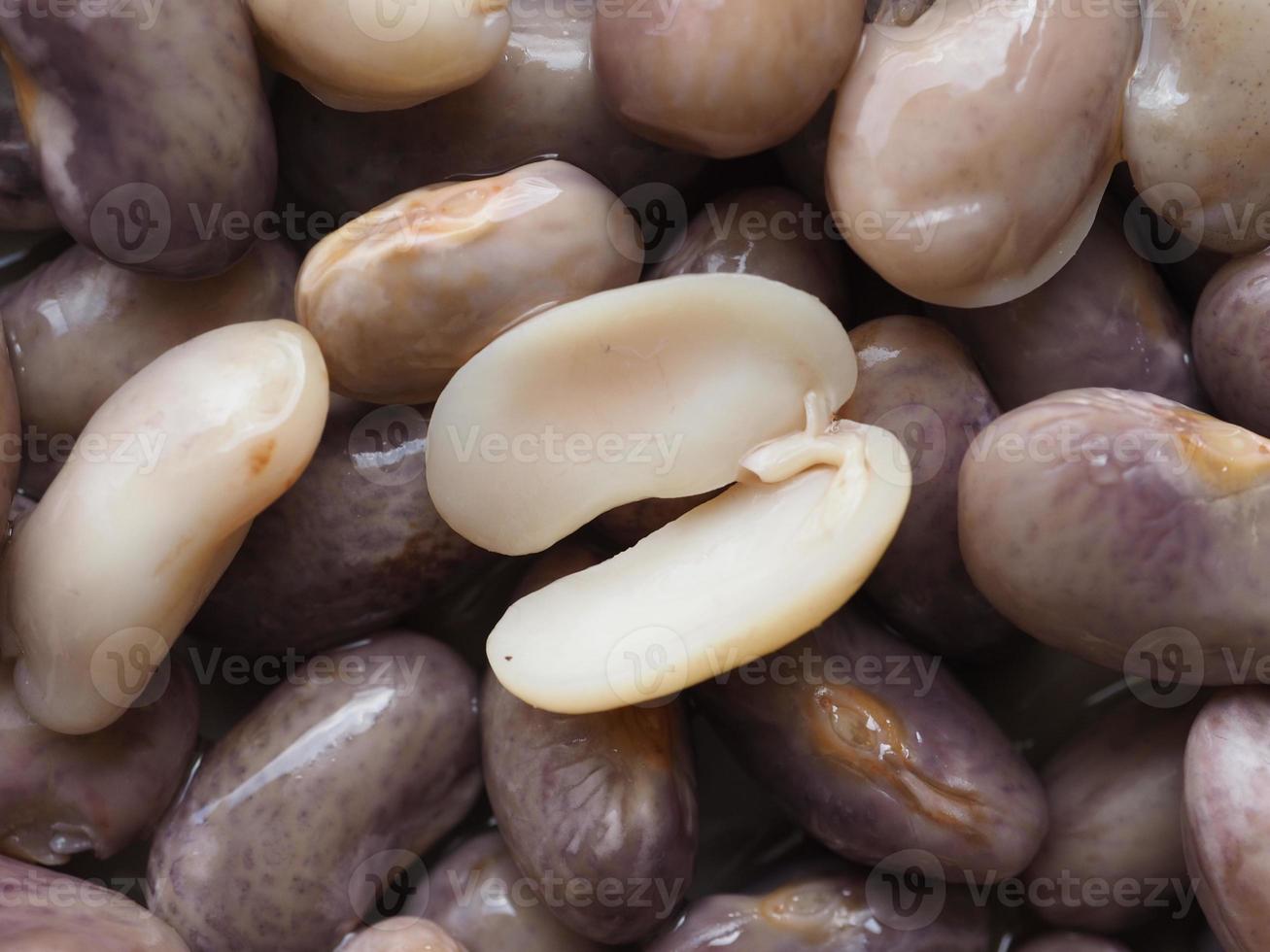 Karmesinrote Bohnen Hülsenfrüchte Gemüse Essen foto